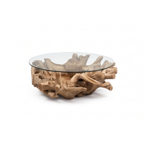 Keysha Root Coffe Table