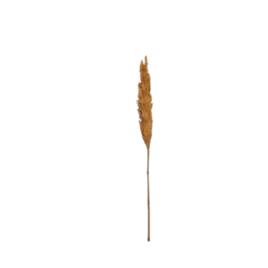Decor Stick