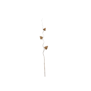 Palm Stick