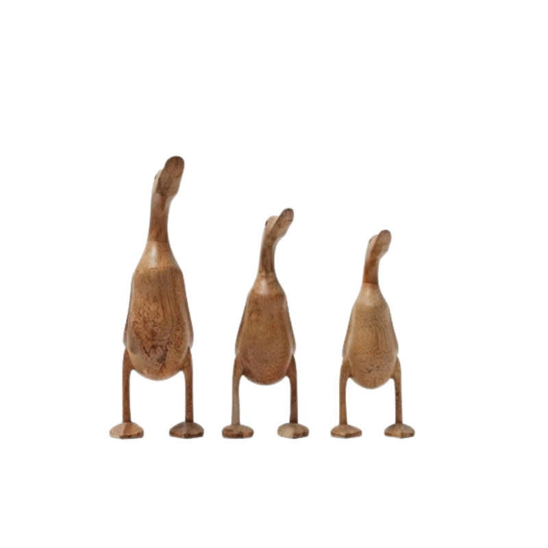 DUCKS Ducks