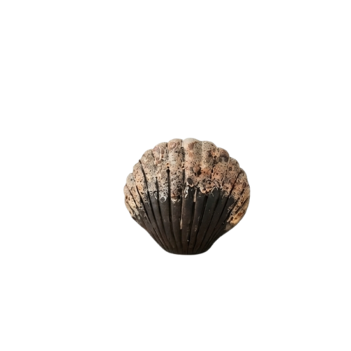 Samudra Vase