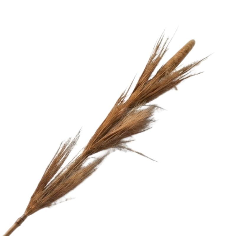 STICK GAMBAS Stick Gambas