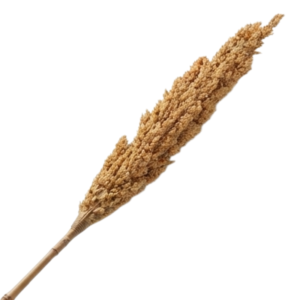 Decor Stick