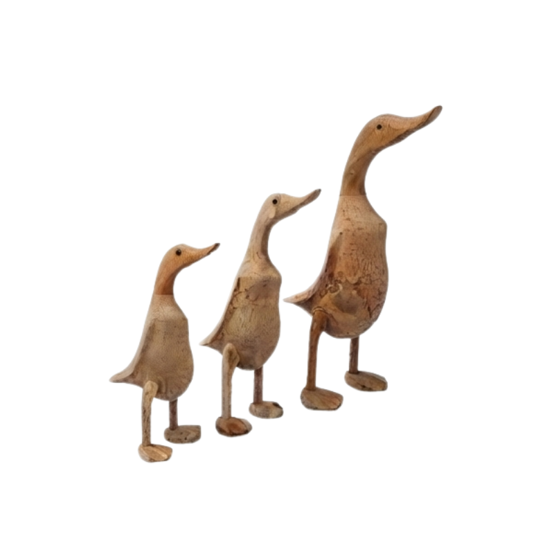 DUCKS Ducks