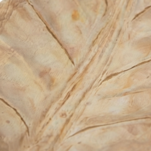 Leaf Tray Teak