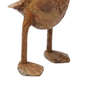 DUCKS Ducks