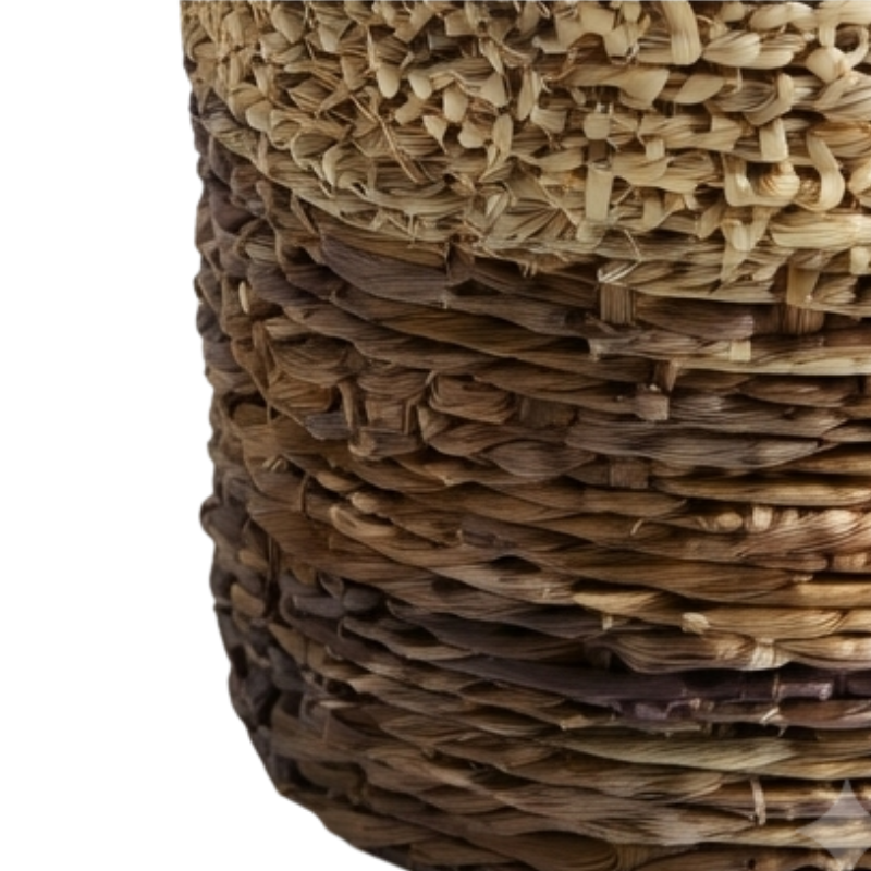 Banana Basket
