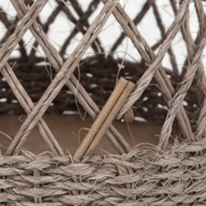 Natural Seagrass Trio