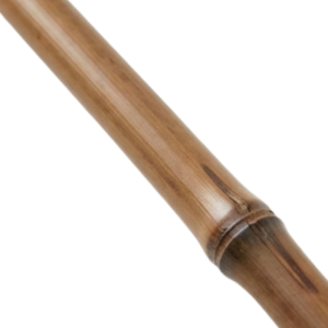 Bagor Stick