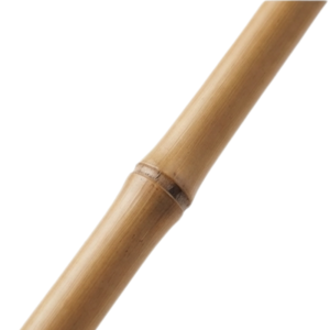 Rayung Stick