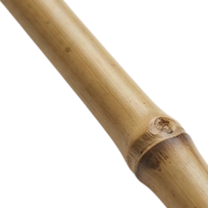 Rayung Stick Rayung Stick