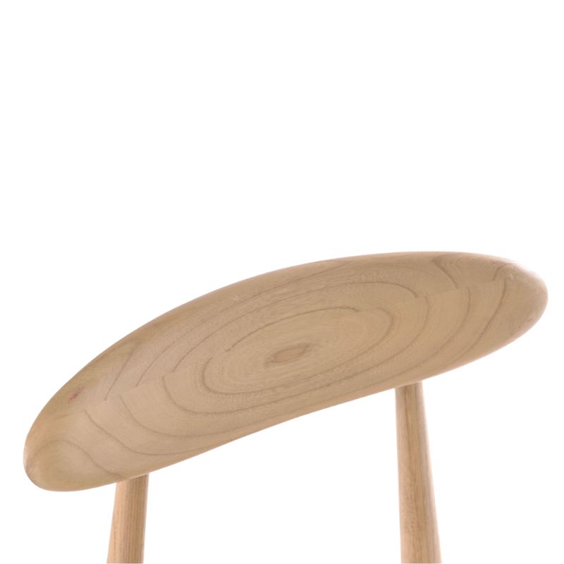 Nanina Teak Dinning Chair
