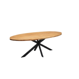 Oval Dinning Table Oval Dinning Table