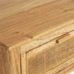 Shanea 3DR Console
