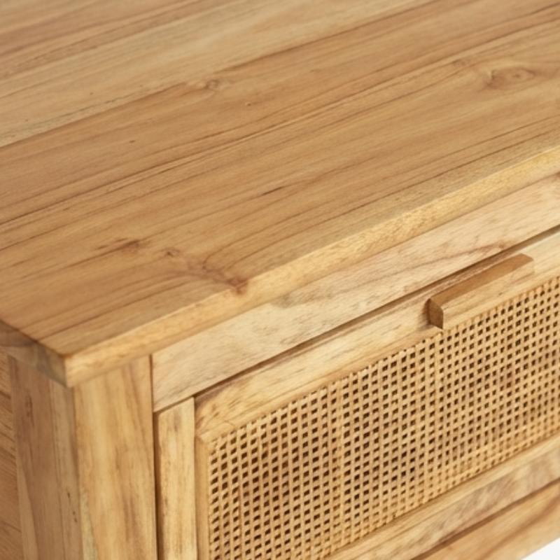Shanea 3DR Console