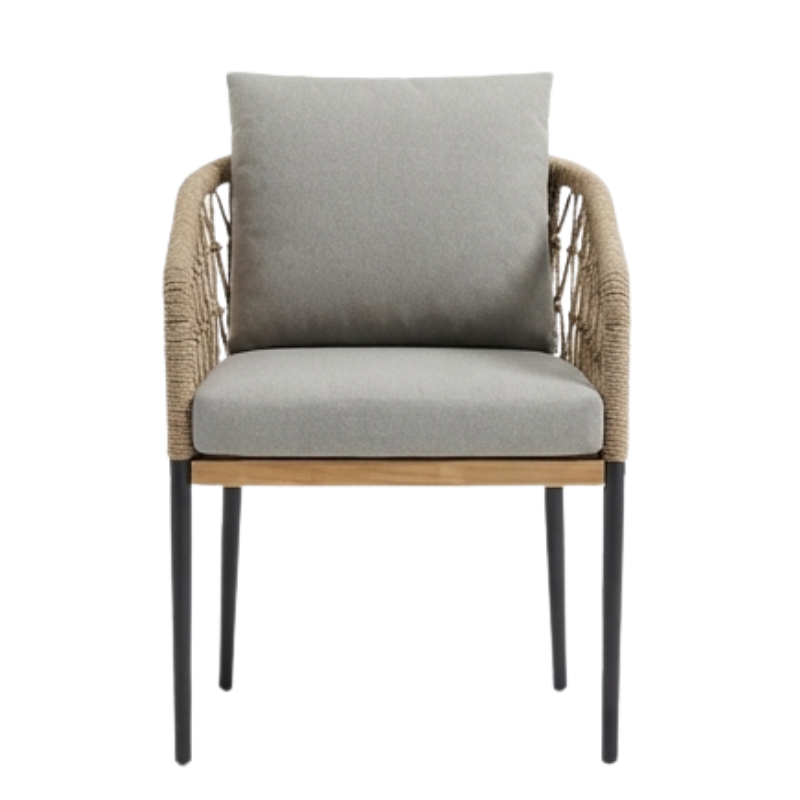Dena Modern Chair