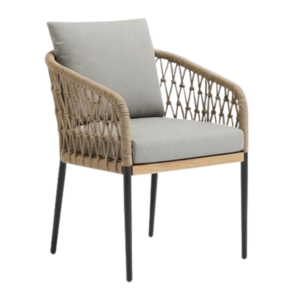 Dena Modern Chair