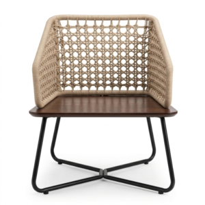 Stephane Lounge Chair
